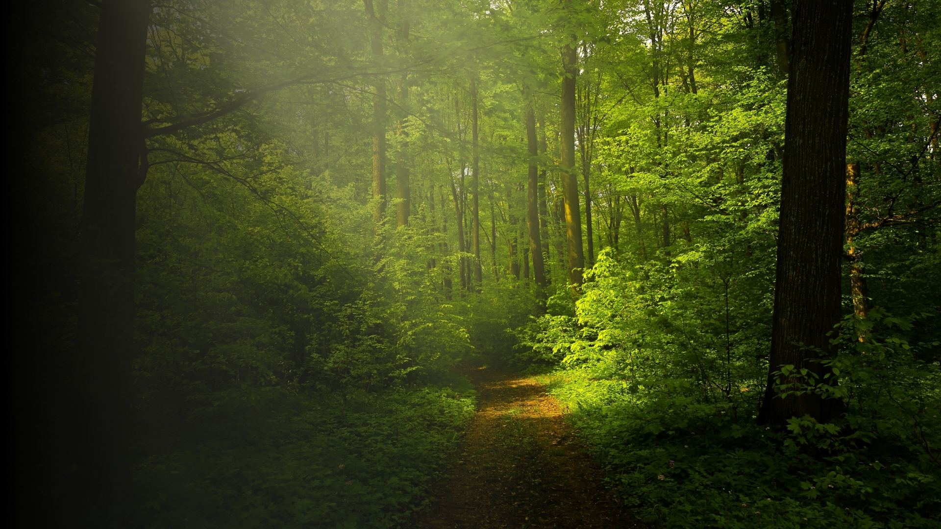 Green and White Modern Minimalist Nature Presentation